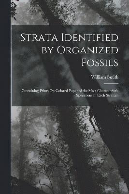 Strata Identified by Organized Fossils 1