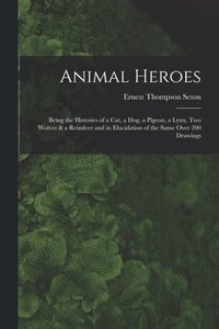 bokomslag Animal Heroes