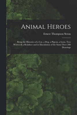 bokomslag Animal Heroes