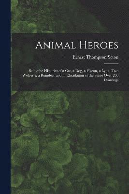 Animal Heroes 1