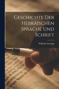 bokomslag Geschichte der hebrischen Sprache und Schrift