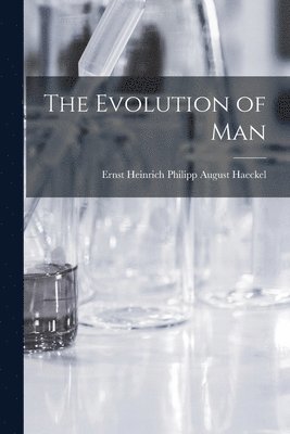 Ernst Heinrich Philipp August Haeckel - Evolution of Man, Häftad