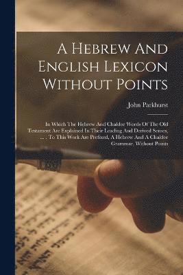 bokomslag A Hebrew And English Lexicon Without Points