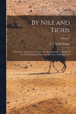 bokomslag By Nile and Tigris