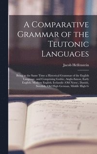bokomslag Comparative Grammar of the Teutonic Languages
