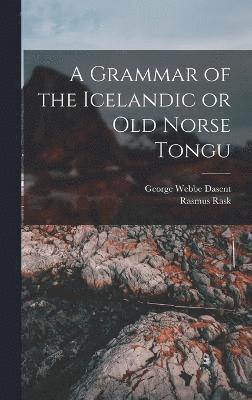 bokomslag A Grammar of the Icelandic or Old Norse Tongu