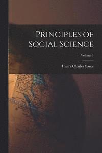 bokomslag Principles of Social Science; Volume 1