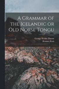 bokomslag A Grammar of the Icelandic or Old Norse Tongu
