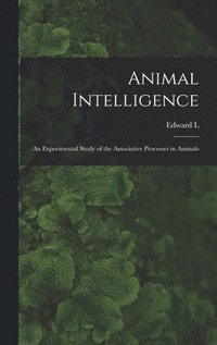 bokomslag Animal Intelligence
