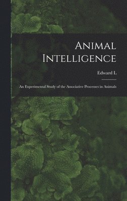 Animal Intelligence