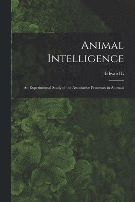 bokomslag Animal Intelligence