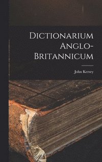 bokomslag Dictionarium Anglo-britannicum