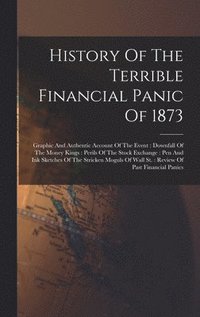 bokomslag History Of The Terrible Financial Panic Of 1873