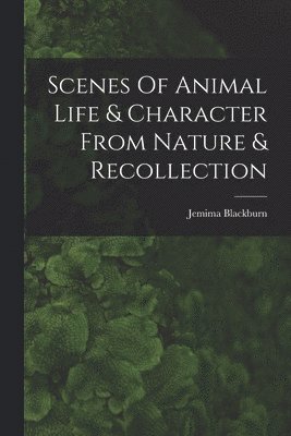 bokomslag Scenes Of Animal Life & Character From Nature & Recollection