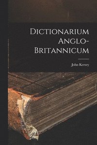 bokomslag Dictionarium Anglo-britannicum