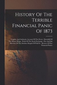 bokomslag History Of The Terrible Financial Panic Of 1873