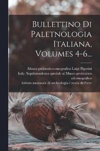 bokomslag Bullettino Di Paletnologia Italiana, Volumes 4-6...