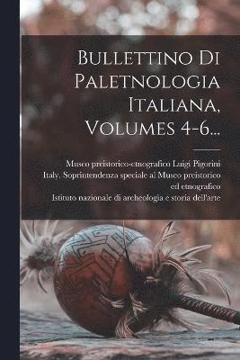 Bullettino Di Paletnologia Italiana, Volumes 4-6... 1