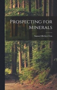 bokomslag Prospecting for Minerals