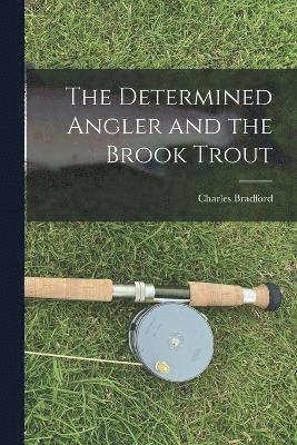 The Determined Angler and the Brook Trout 1