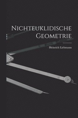 bokomslag Nichteuklidische Geometrie