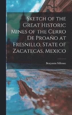 Sketch of the Great Historic Mines of the Cerro De Proao at Fresnillo, State of Zacatecas, Mexico 1