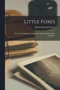bokomslag Little Foxes