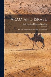 bokomslag Aram and Israel
