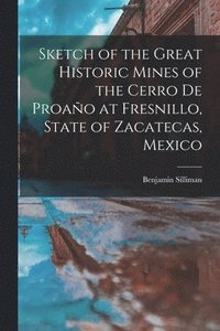 bokomslag Sketch of the Great Historic Mines of the Cerro De Proao at Fresnillo, State of Zacatecas, Mexico