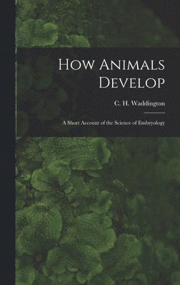 bokomslag How Animals Develop