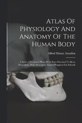 bokomslag Atlas Of Physiology And Anatomy Of The Human Body