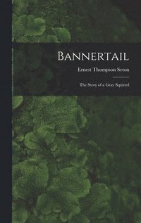 bokomslag Bannertail; the Story of a Gray Squirrel