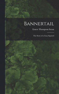 bokomslag Bannertail; the Story of a Gray Squirrel