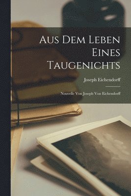 bokomslag Aus dem Leben Eines Taugenichts