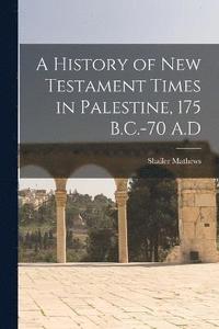 bokomslag A History of New Testament Times in Palestine, 175 B.C.-70 A.D