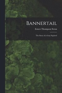 bokomslag Bannertail; the Story of a Gray Squirrel