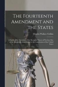 bokomslag The Fourteenth Amendment and the States