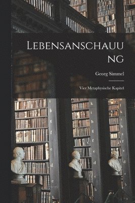 Georg Simmel - Lebensanschauung, Häftad