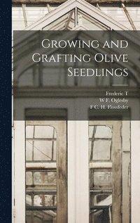 bokomslag Growing and Grafting Olive Seedlings