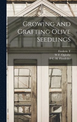 Growing and Grafting Olive Seedlings 1