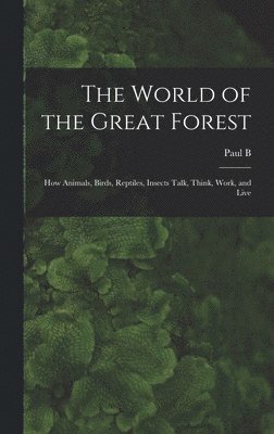 The World of the Great Forest; how Animals, Birds, Reptiles, Insects Talk, Think, Work, and Live 1