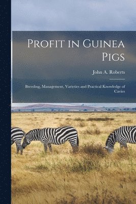 Profit in Guinea Pigs; Breeding, Management, Varieties and Practical Knowledge of Cavies 1