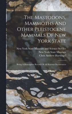 bokomslag Mastodons, Mammoths And Other Pleistocene Mammals Of New York State