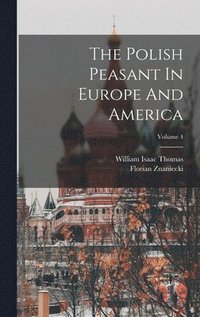 bokomslag The Polish Peasant In Europe And America; Volume 4