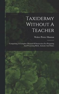 bokomslag Taxidermy Without A Teacher