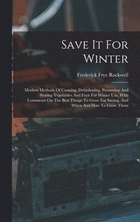 bokomslag Save It For Winter