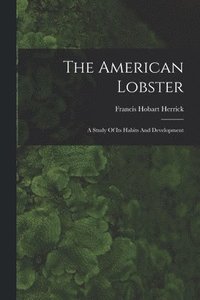 bokomslag The American Lobster