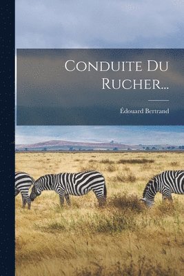 bokomslag Conduite Du Rucher...