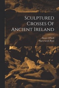 bokomslag Sculptured Crosses Of Ancient Ireland