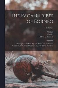 bokomslag Pagan Tribes of Borneo; a Description of Their Physical, Moral and Intellectual Condition, With Some Discussion of Their Ethnic Relations; Volume 1